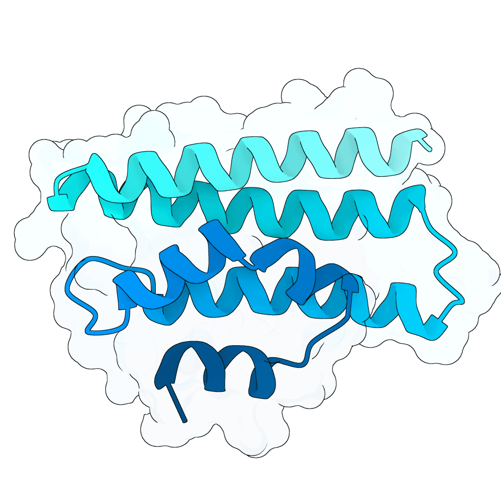 radiant-crow-cypress