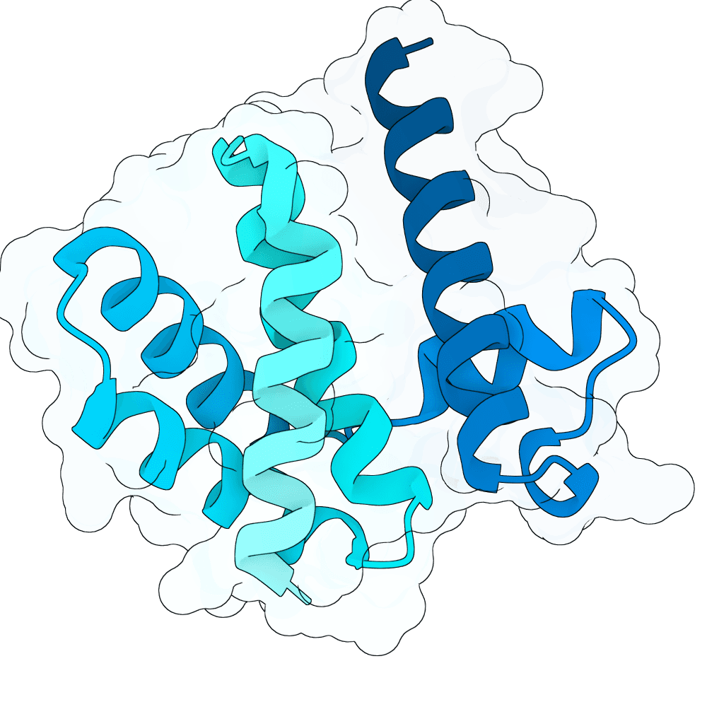 bright-zebra-crystal