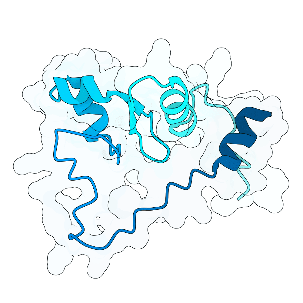 scarlet-raven-orchid