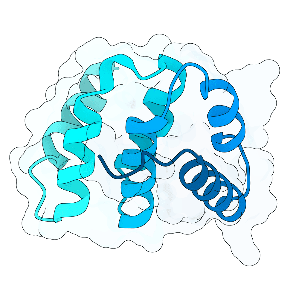 azure-panther-orchid