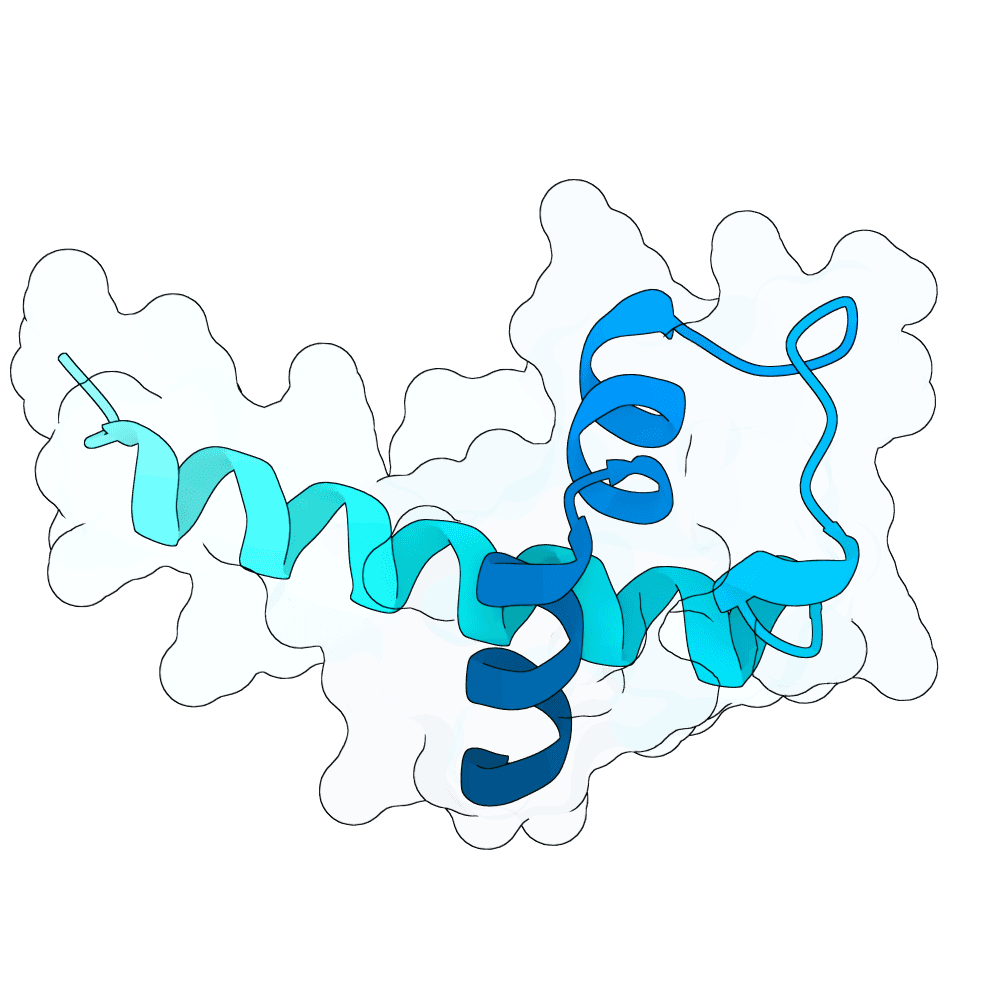 strong-jaguar-orchid