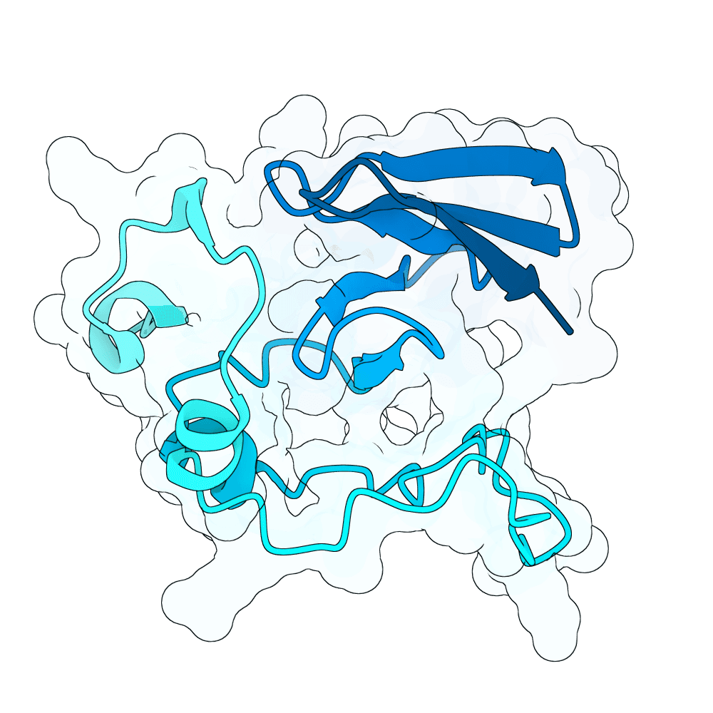 azure-panther-cypress