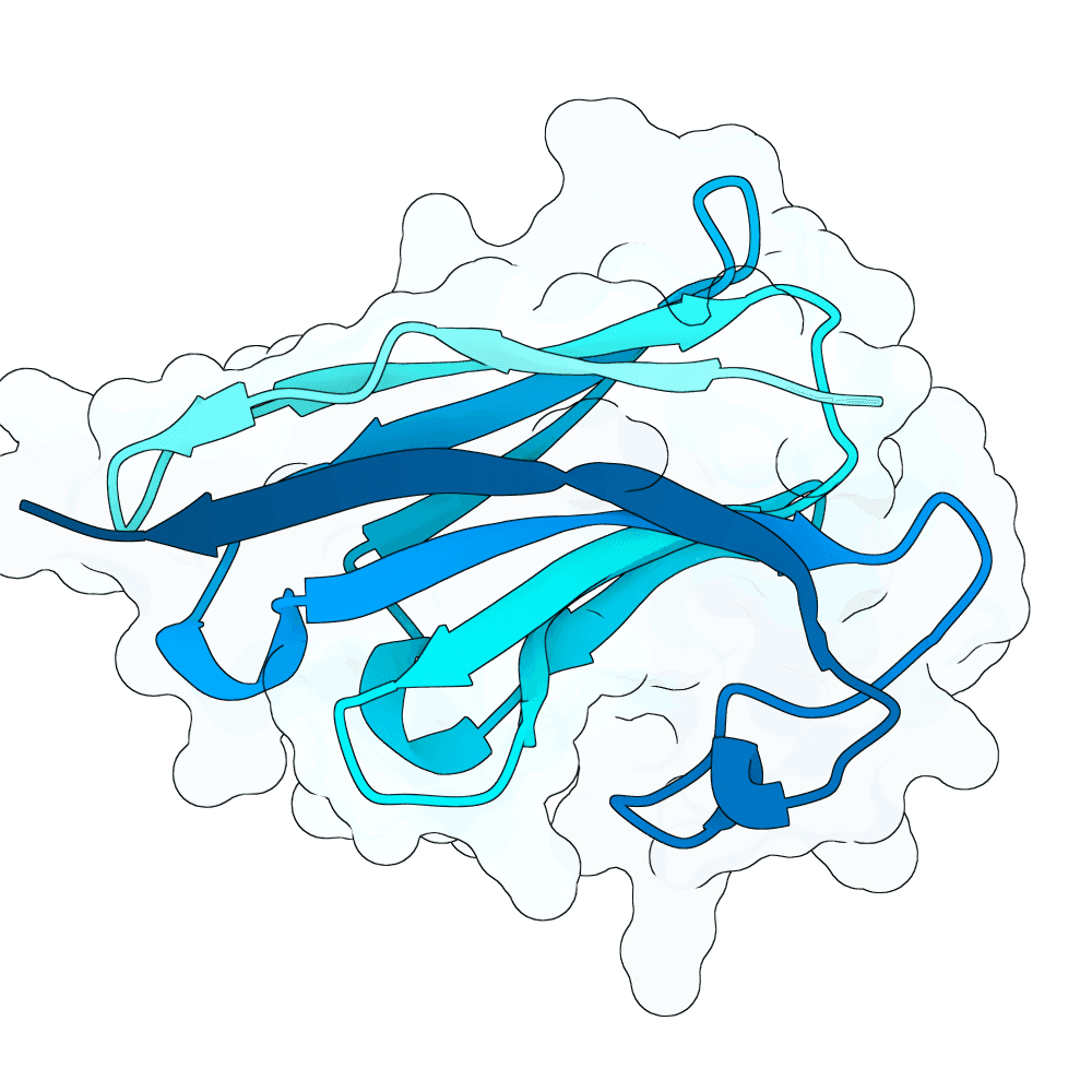 crimson-heron-bronze