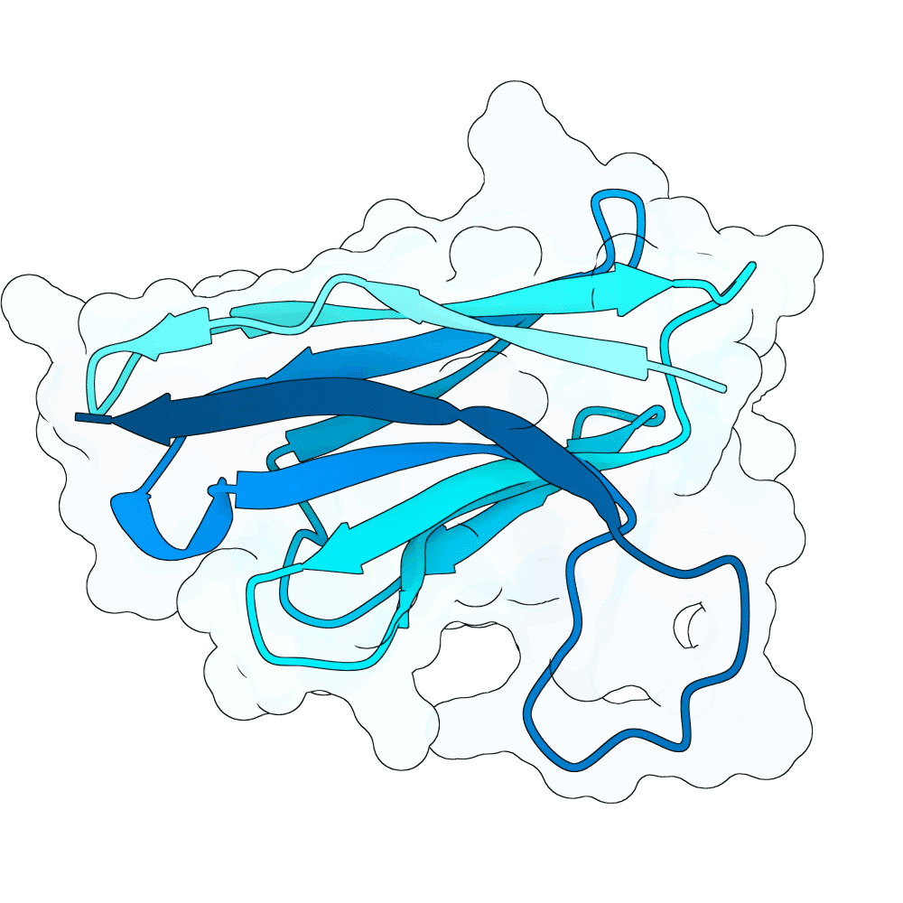 golden-tiger-granite