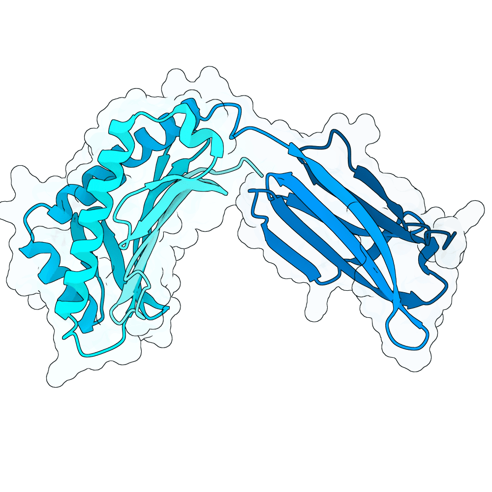 FcRn structure preview