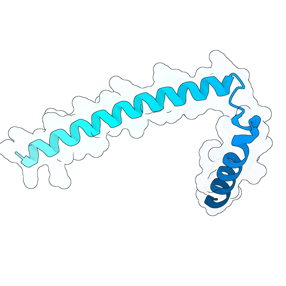 silver-panther-cedar