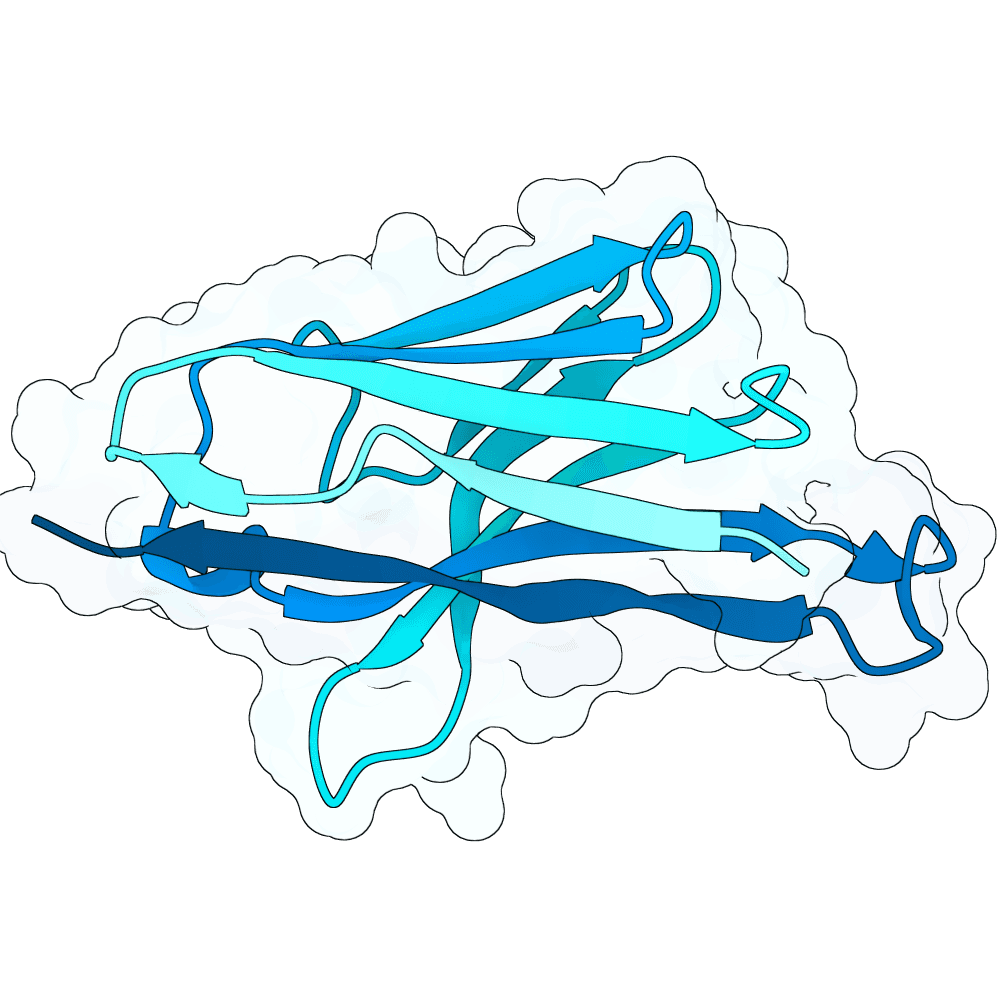 hollow-panther-frost