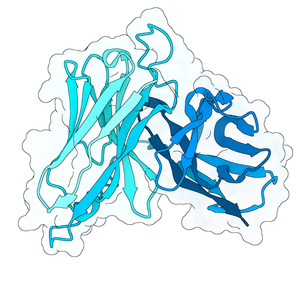 gentle-panther-ember