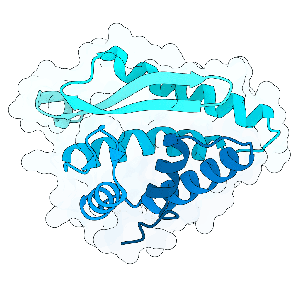 frozen-crane-cypress