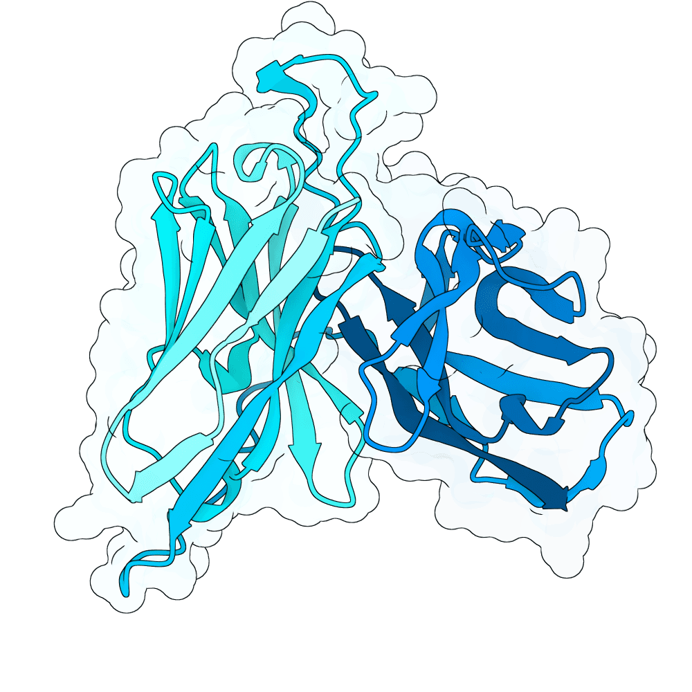 Adaptyv Bio | Proteinbase