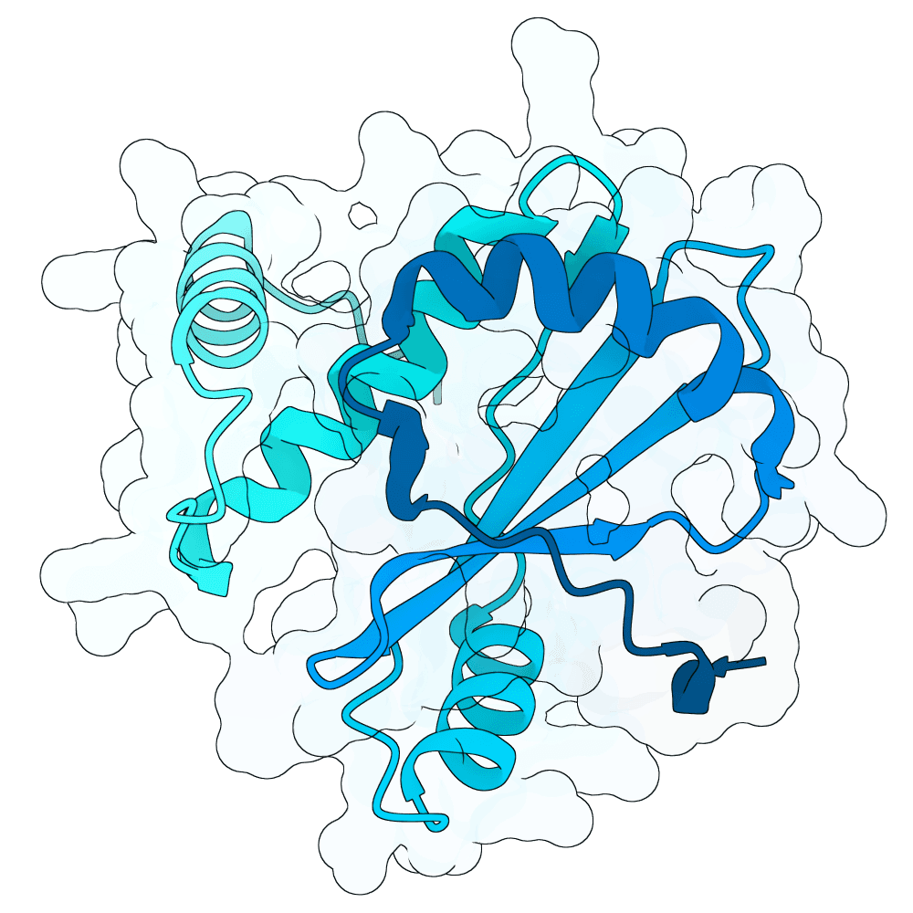 silent-falcon-cypress