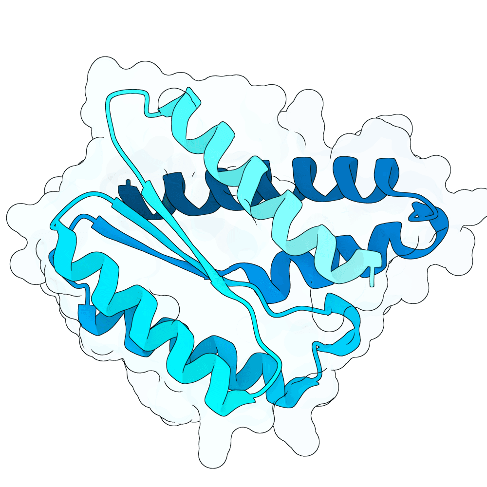 brisk-otter-leaf