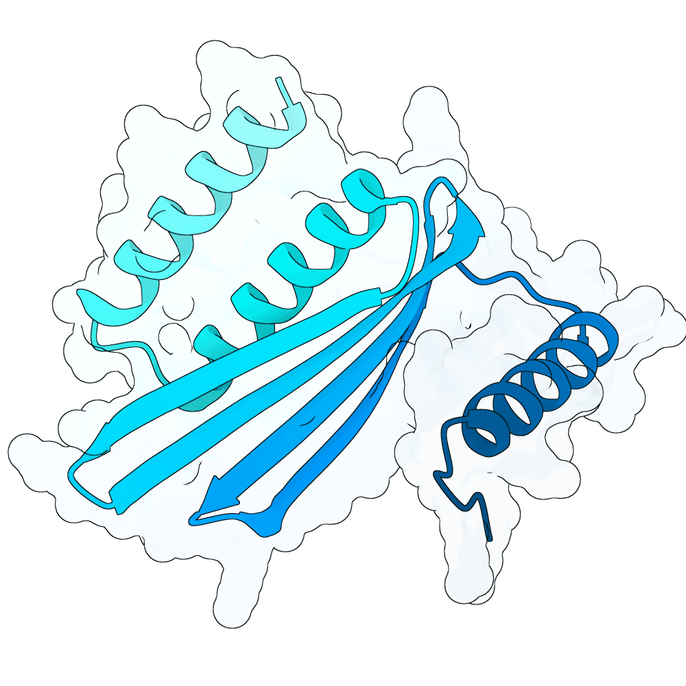 mellow-swan-frost
