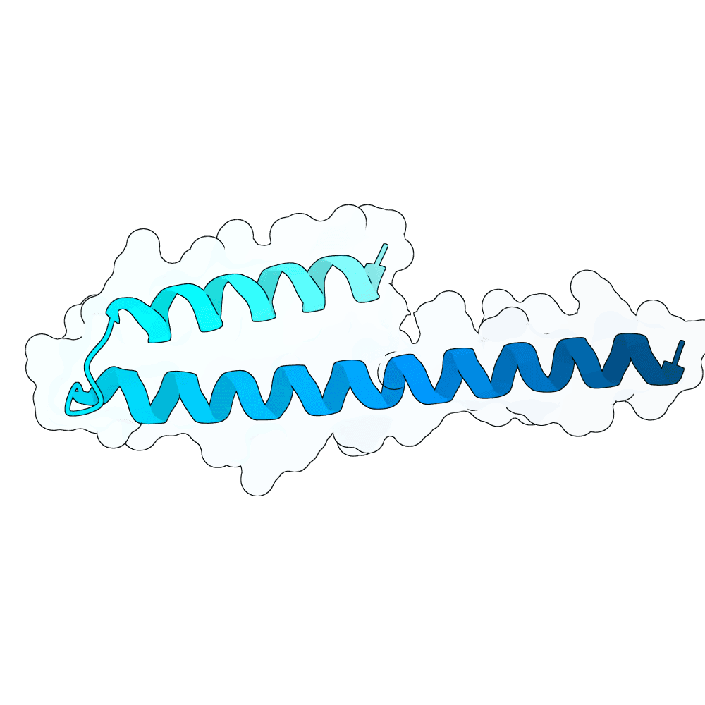 jade-shark-bronze
