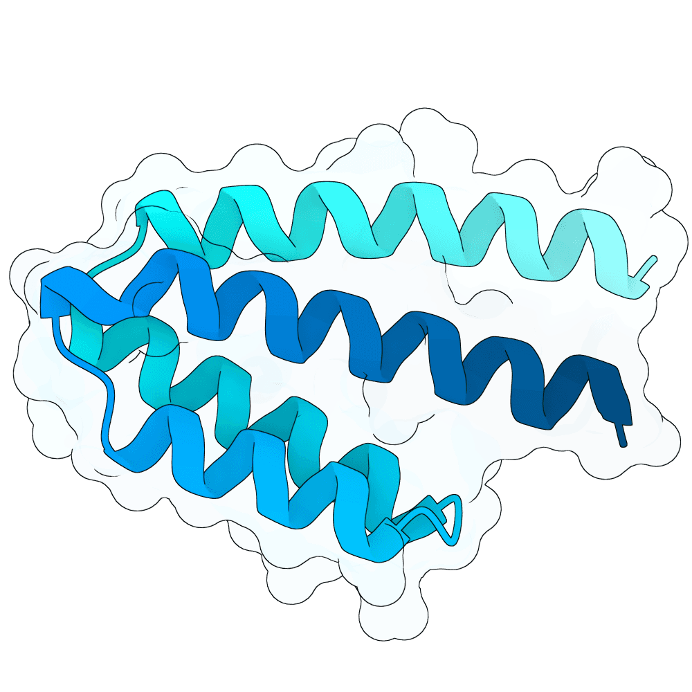 rapid-tiger-fern