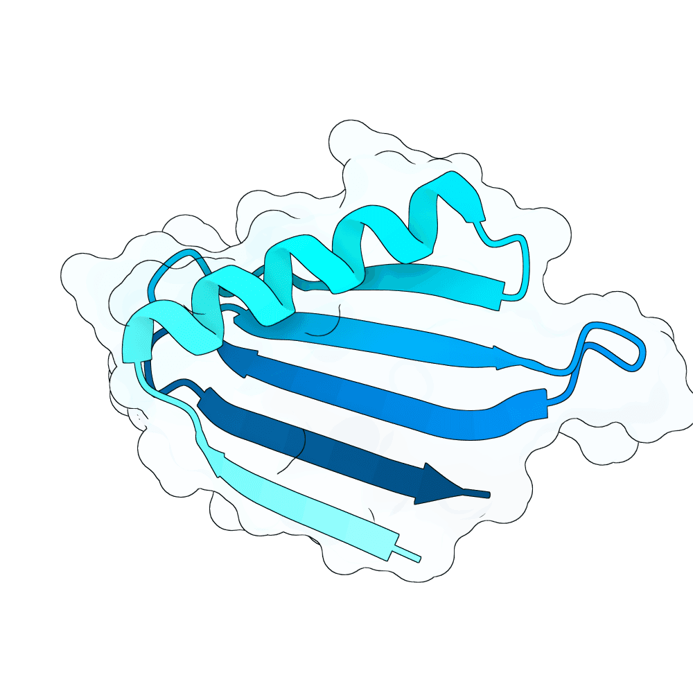 rough-fox-reed