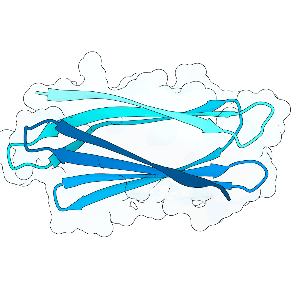 shy-toad-quartz