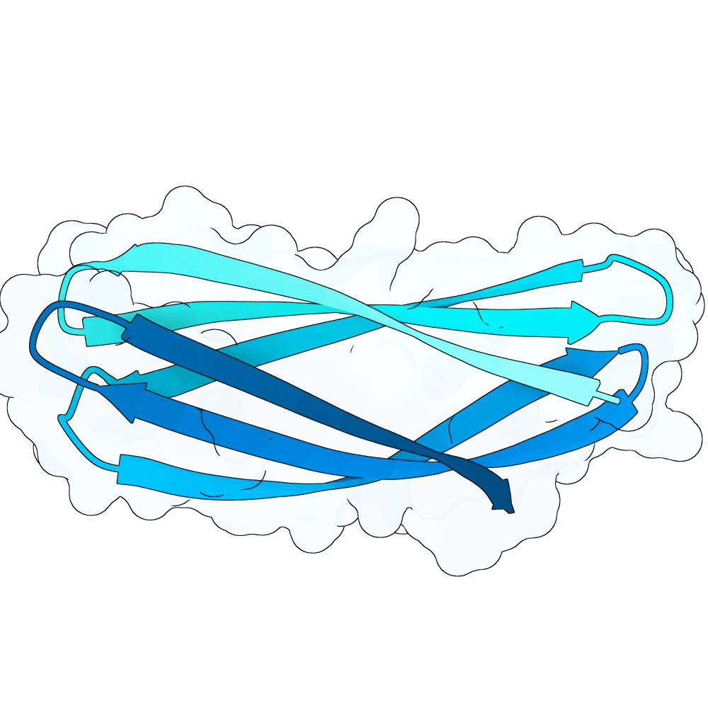 silver-orca-leaf