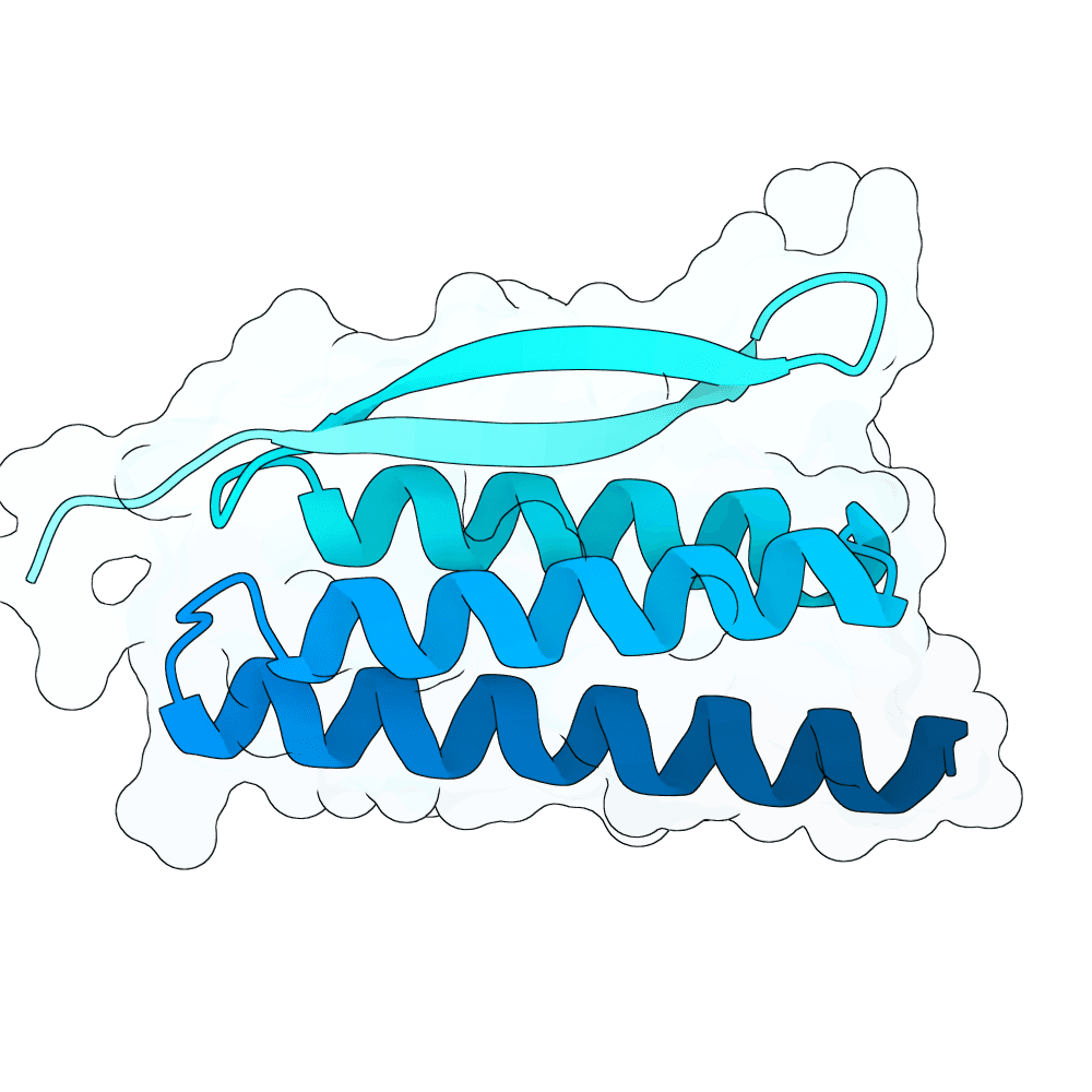 dark-shark-ember