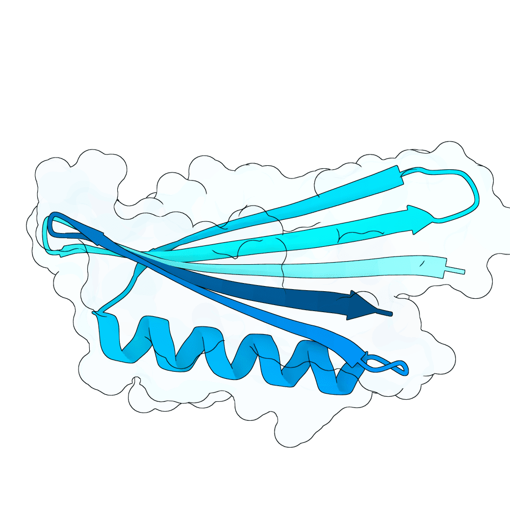 rapid-wolf-iron