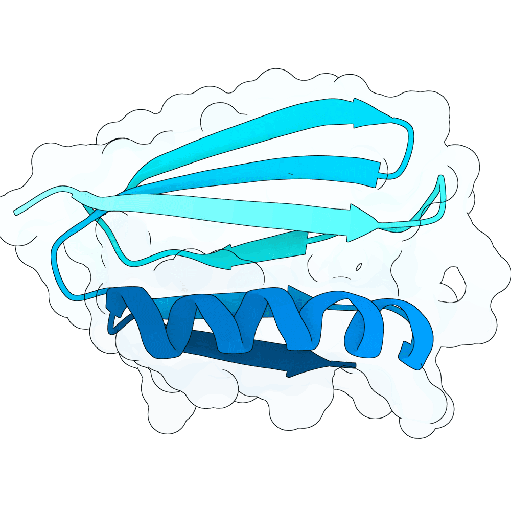 radiant-gecko-topaz