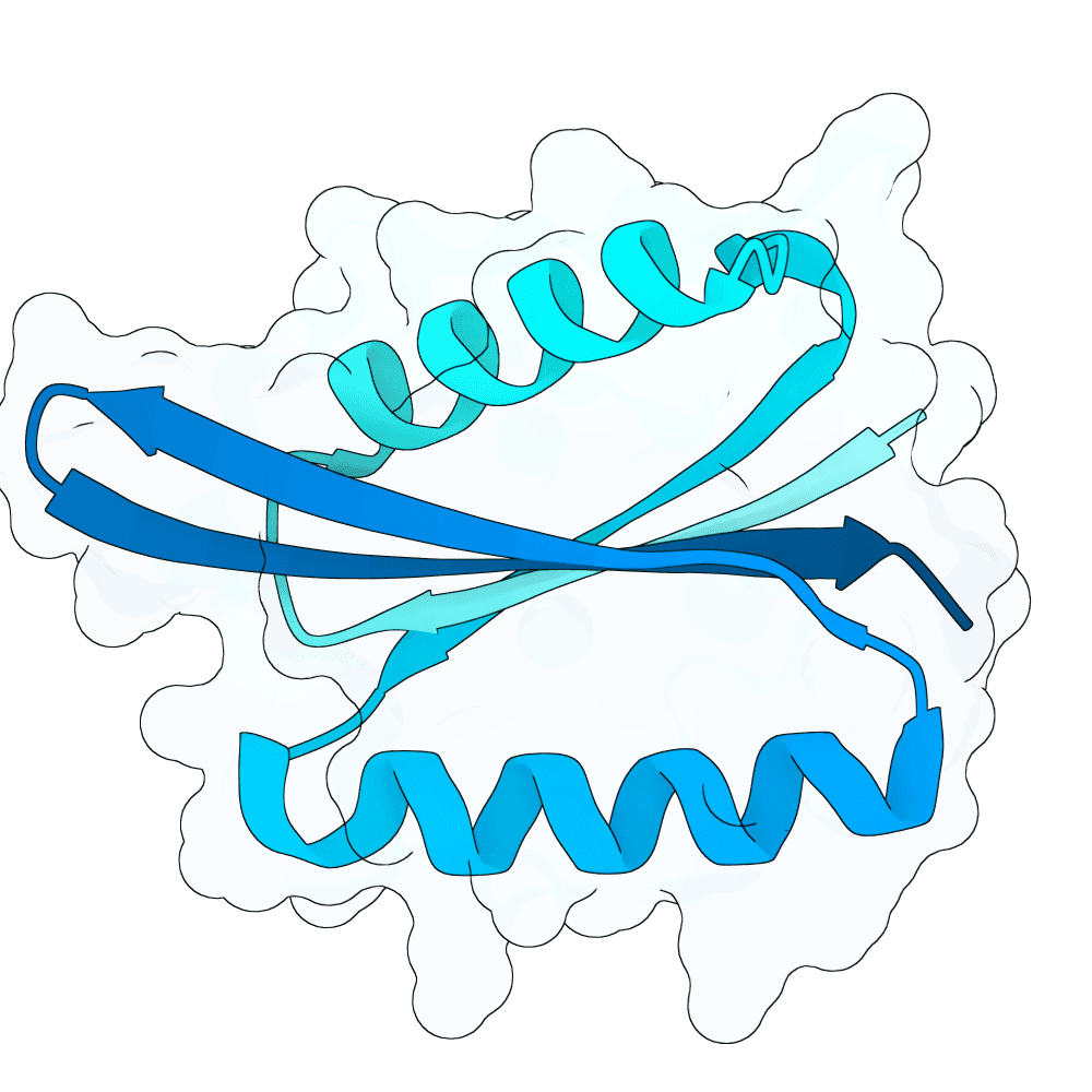 small-orca-crystal