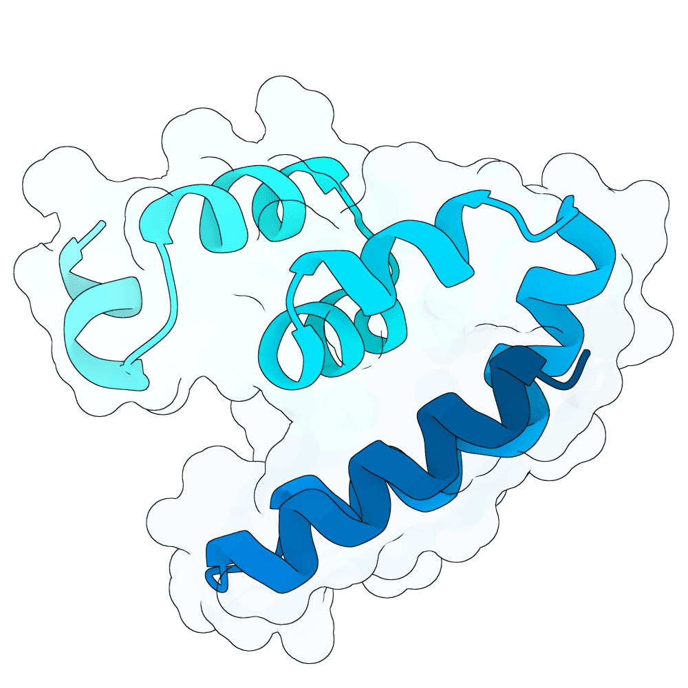 crimson-ram-leaf