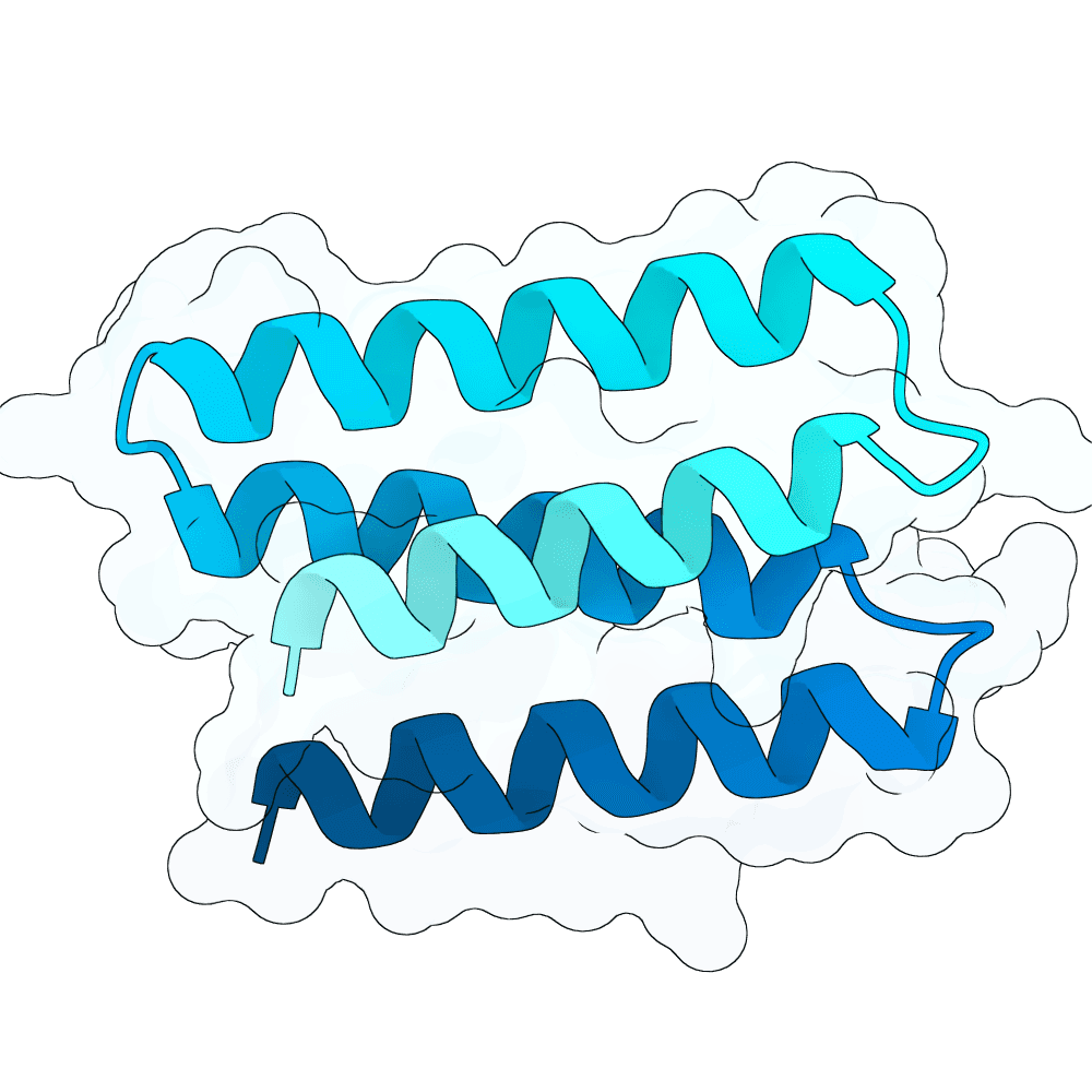 jade-zebra-clay