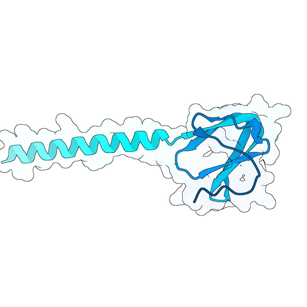 strong-lynx-lava