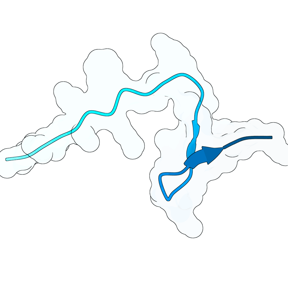 radiant-seal-cypress