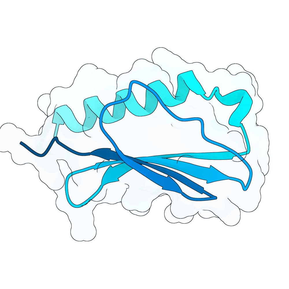 rapid-toad-opal