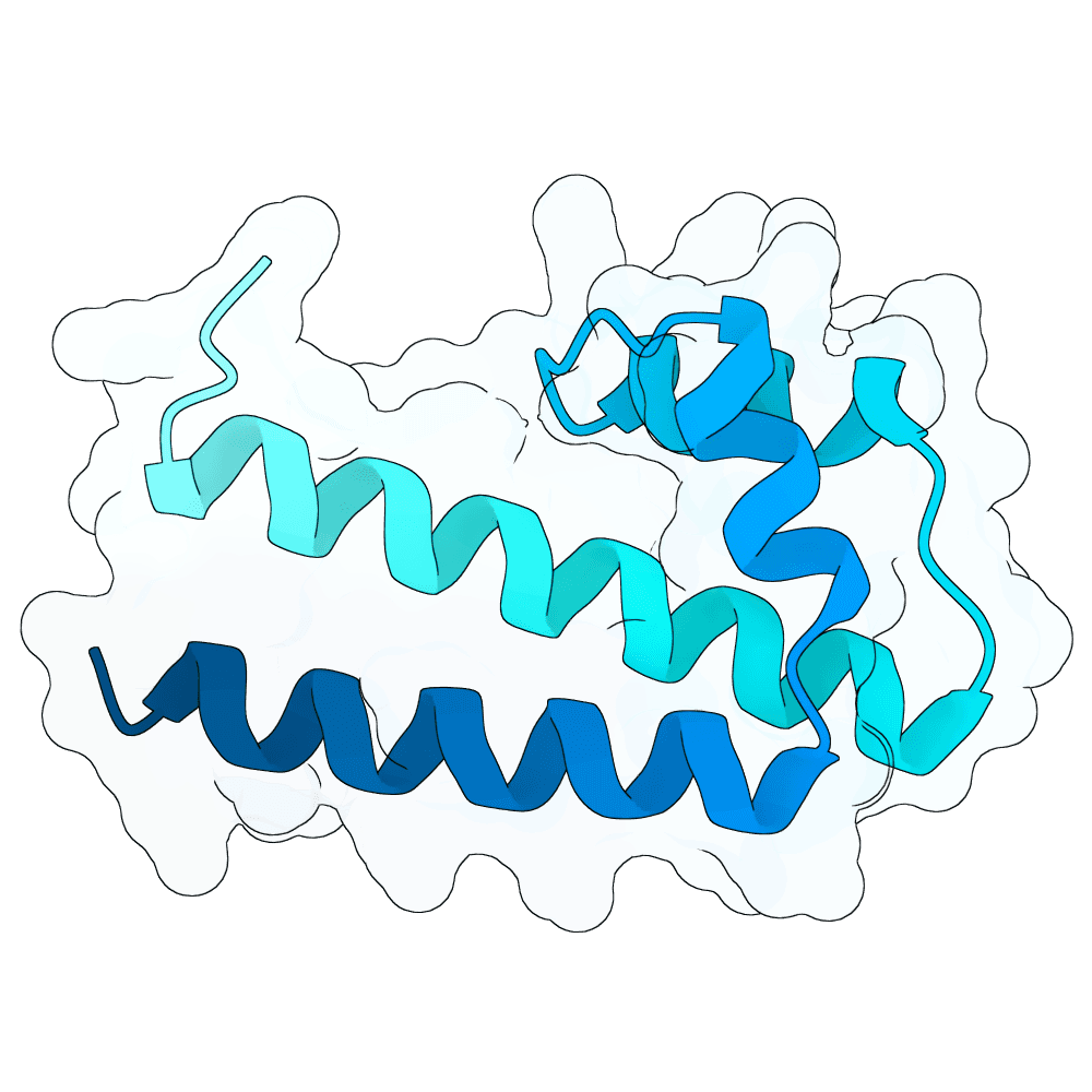 hollow-otter-crystal