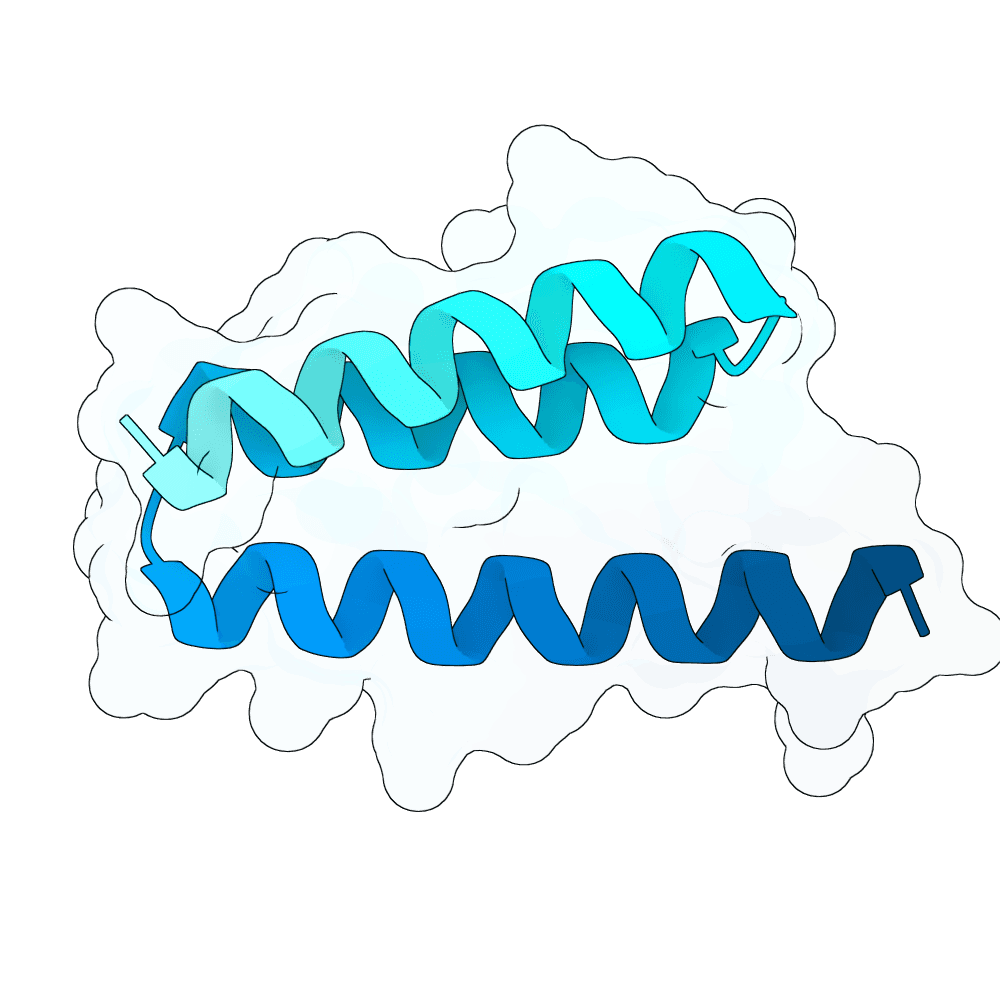 crimson-jaguar-thorn