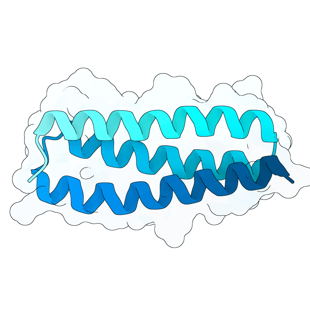 hollow-otter-cypress