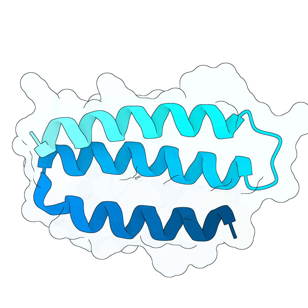 mellow-panda-granite