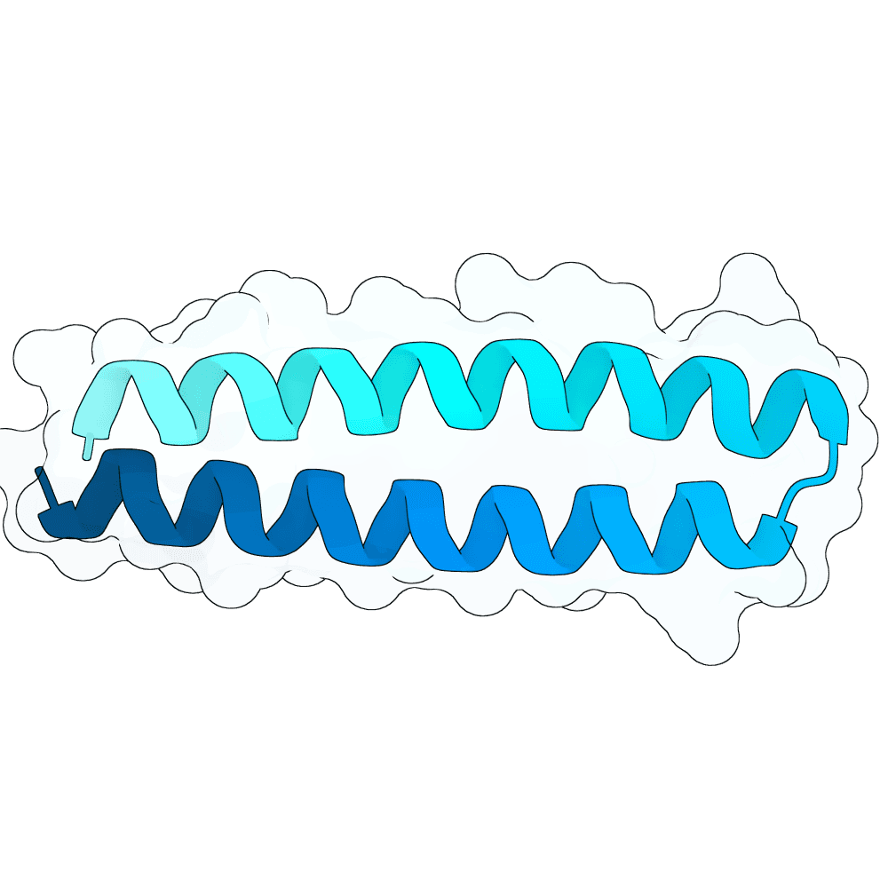 scarlet-tiger-cypress