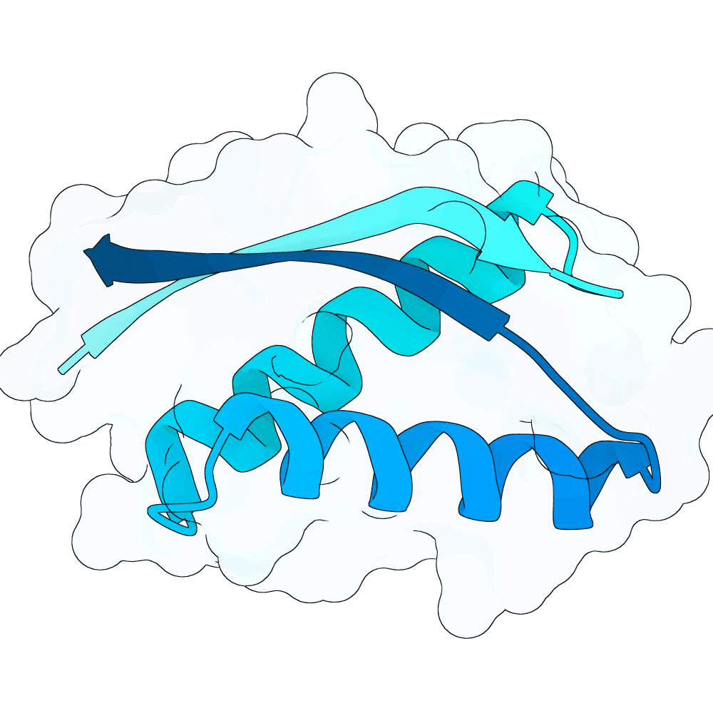 radiant-ibis-crystal