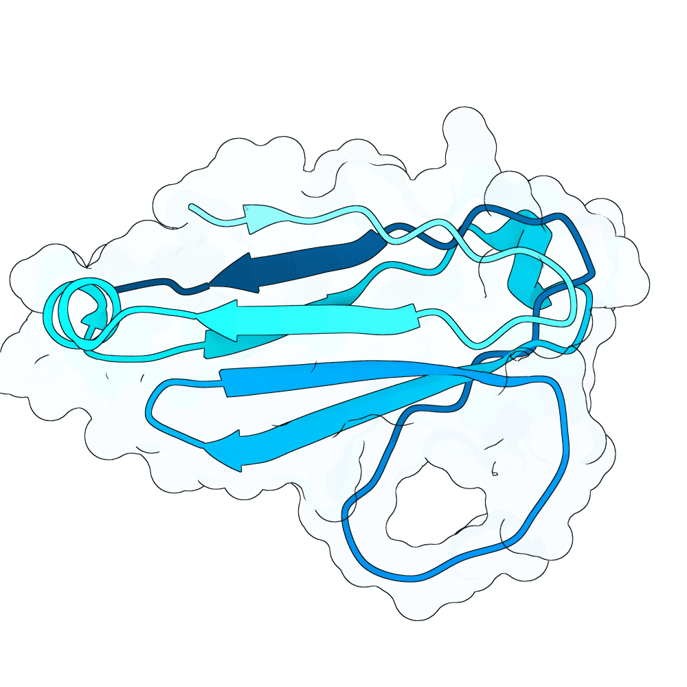 swift-bee-topaz
