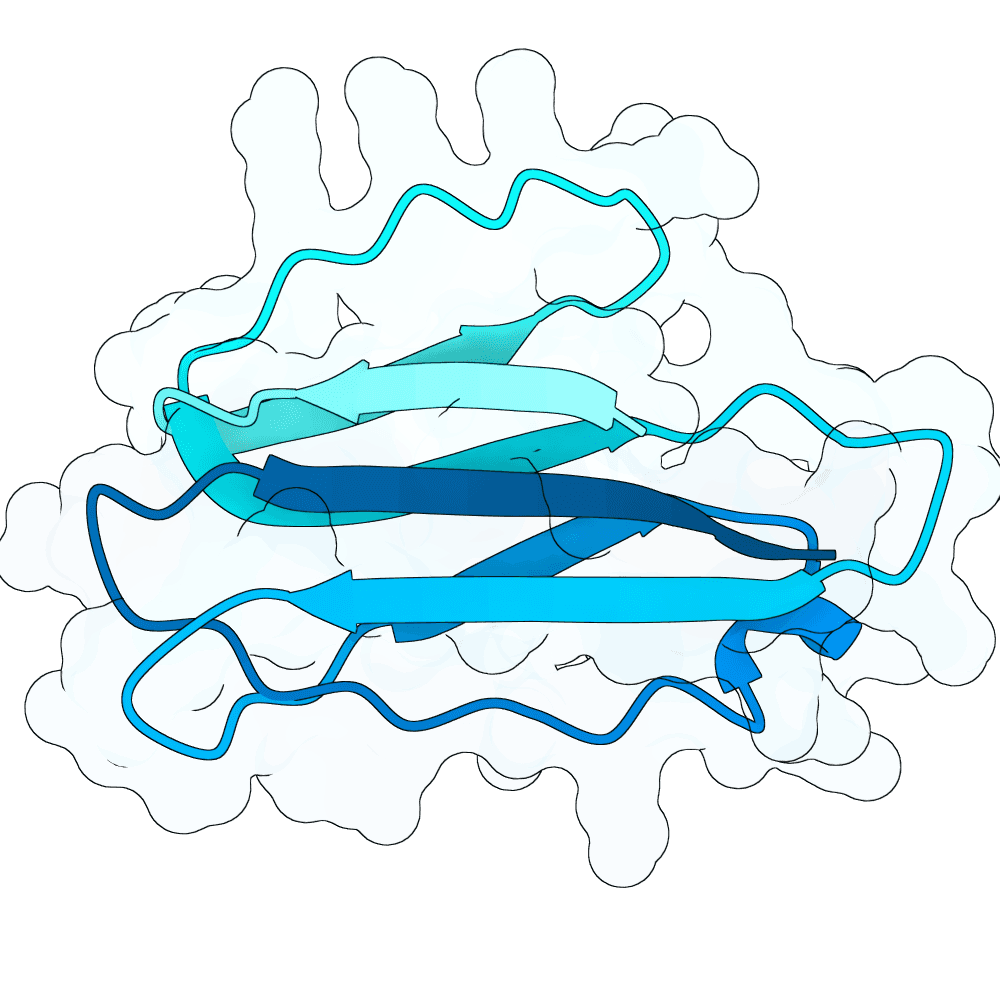 quick-ram-plume