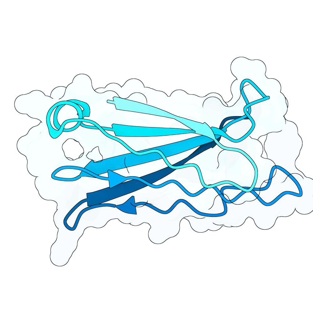 strong-seal-opal