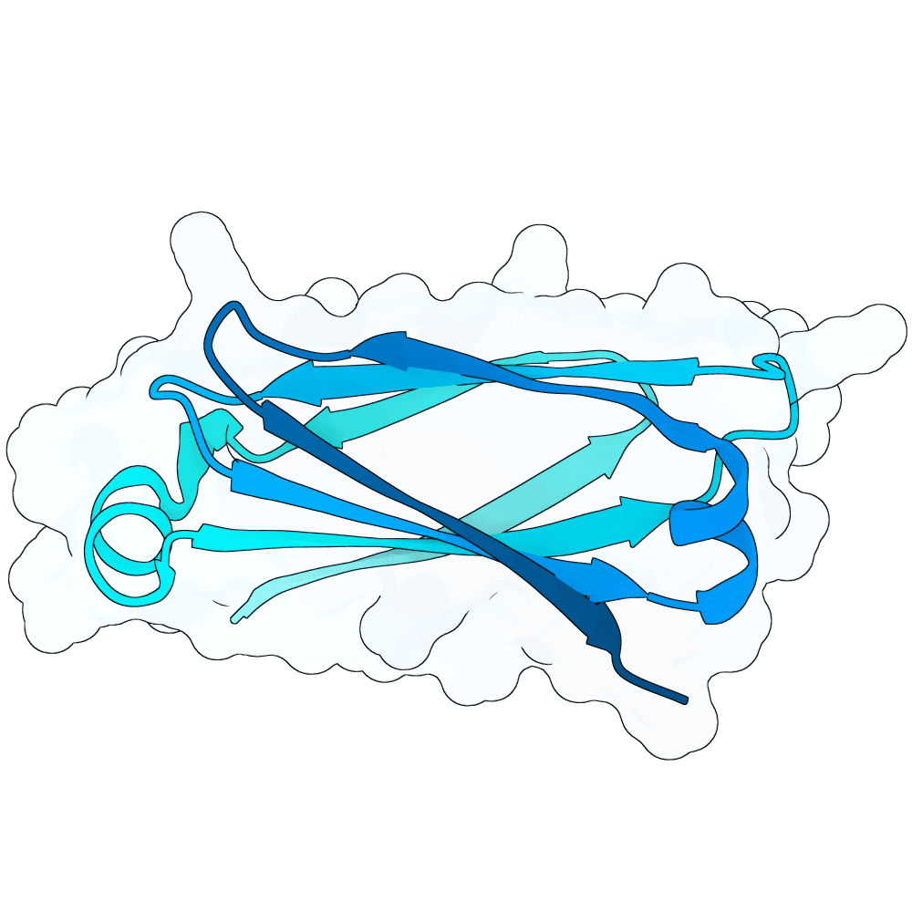 radiant-moth-granite