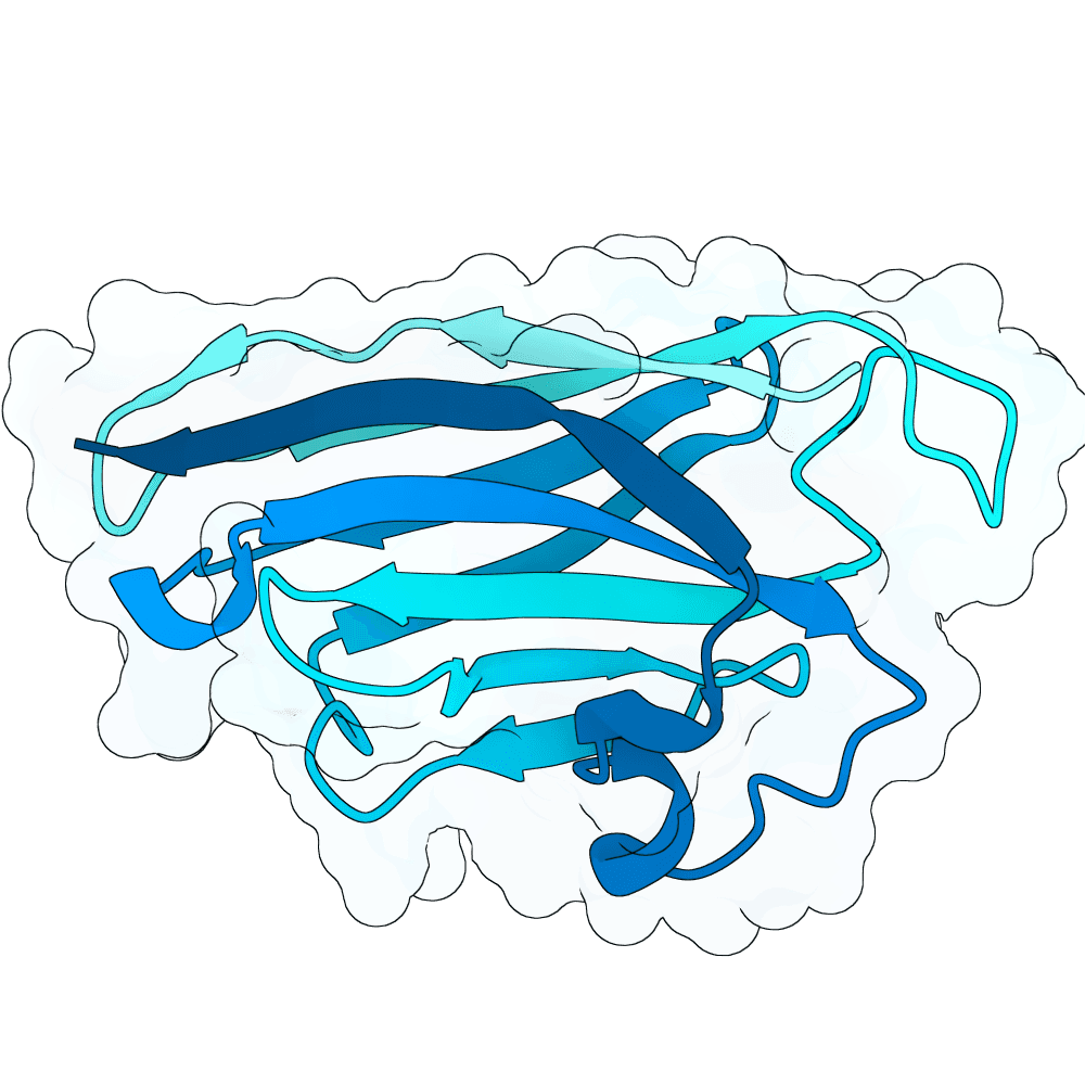 swift-orca-plume