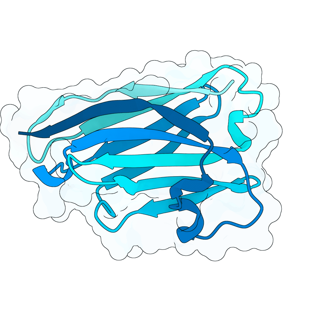 swift-lion-crystal