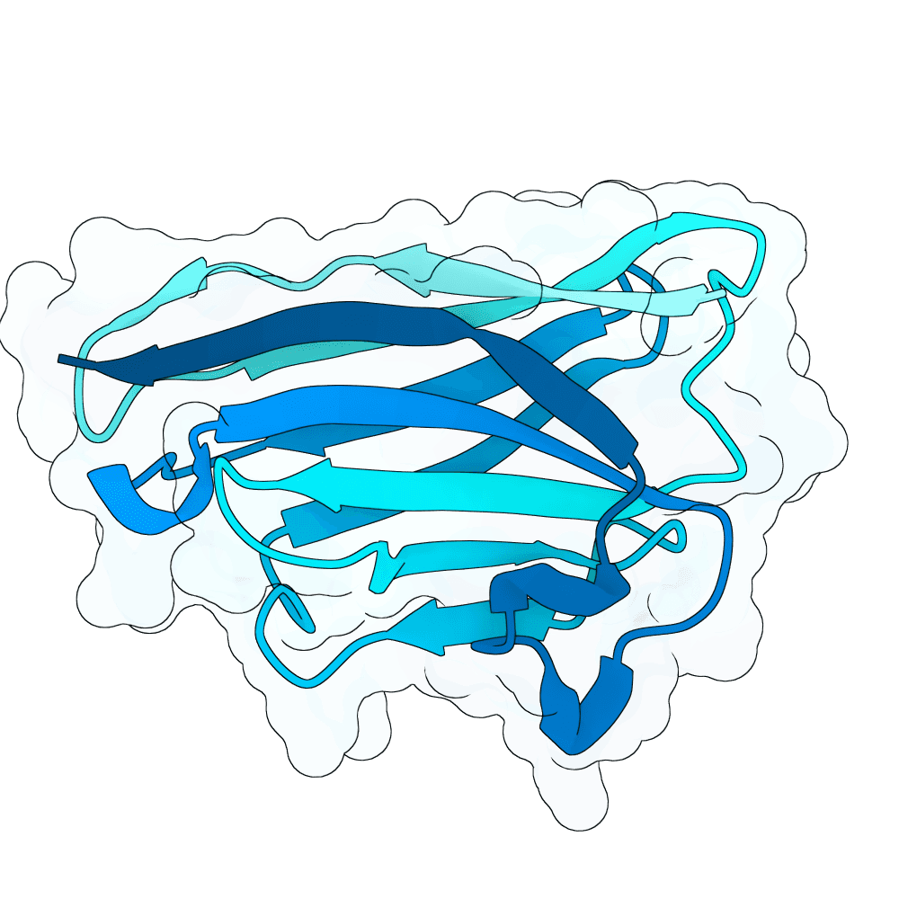 brisk-bat-cedar