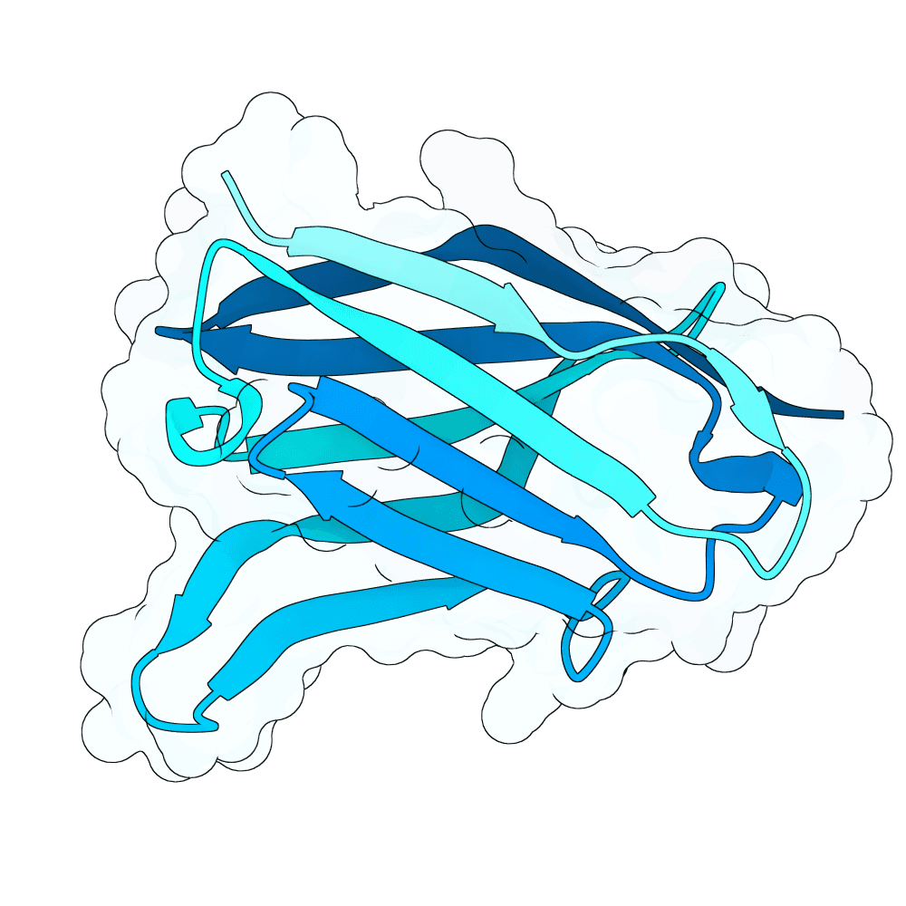 bright-bee-stone