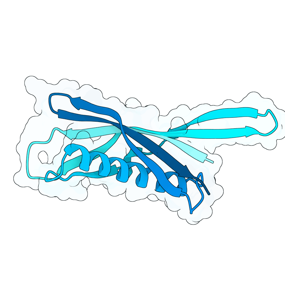 steady-heron-granite