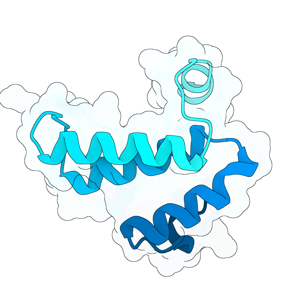 young-panther-crystal