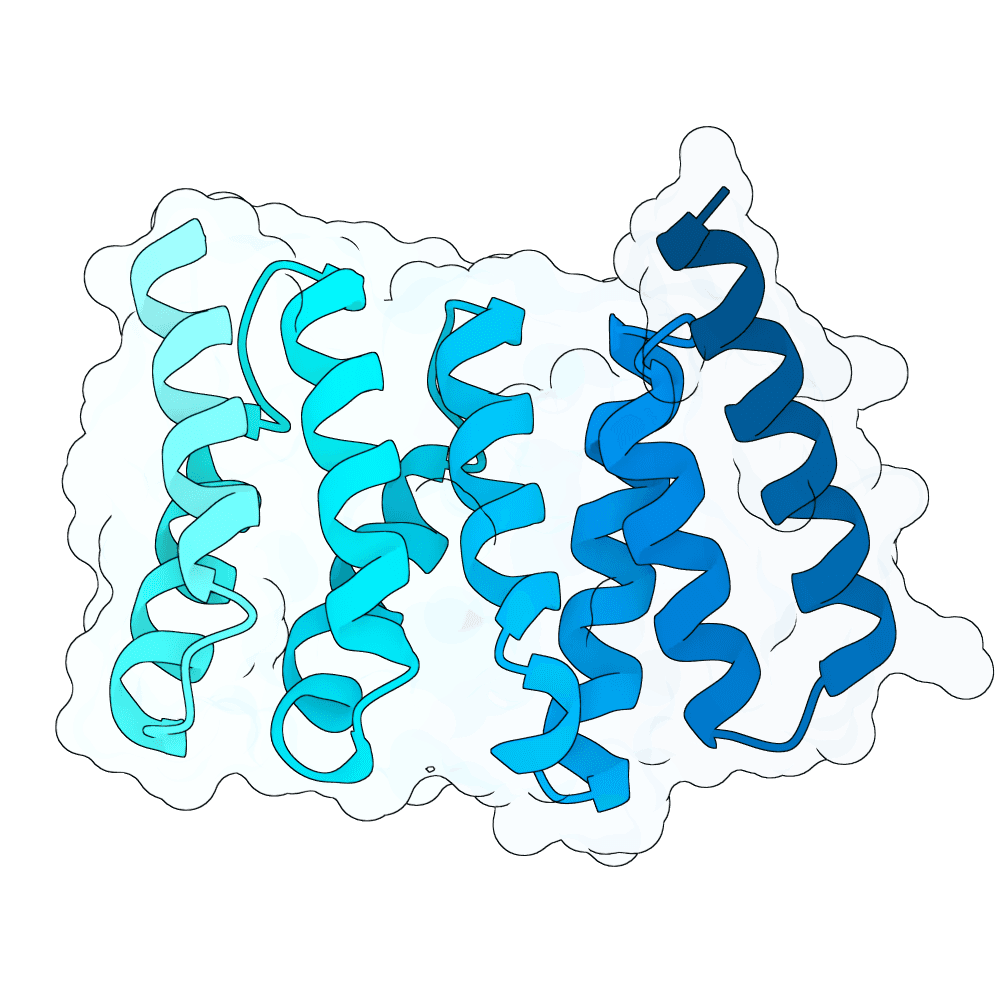 radiant-jaguar-crystal