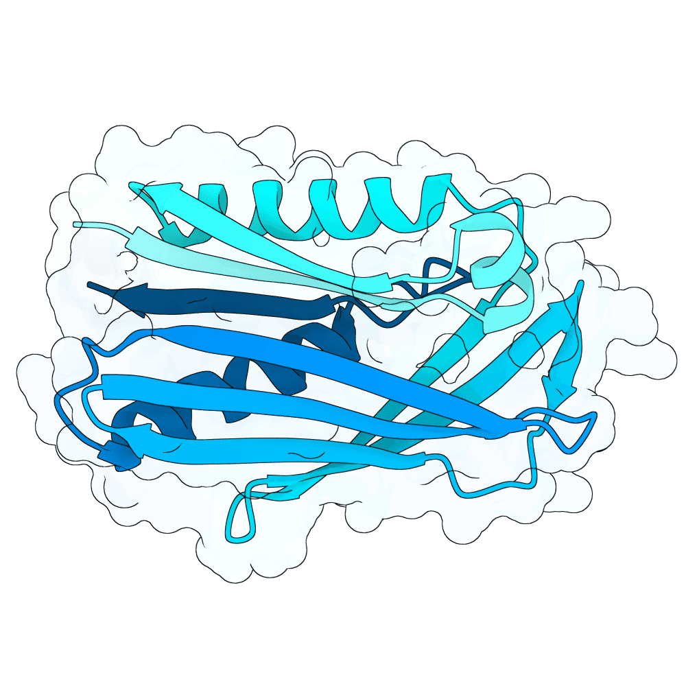 radiant-panther-wave