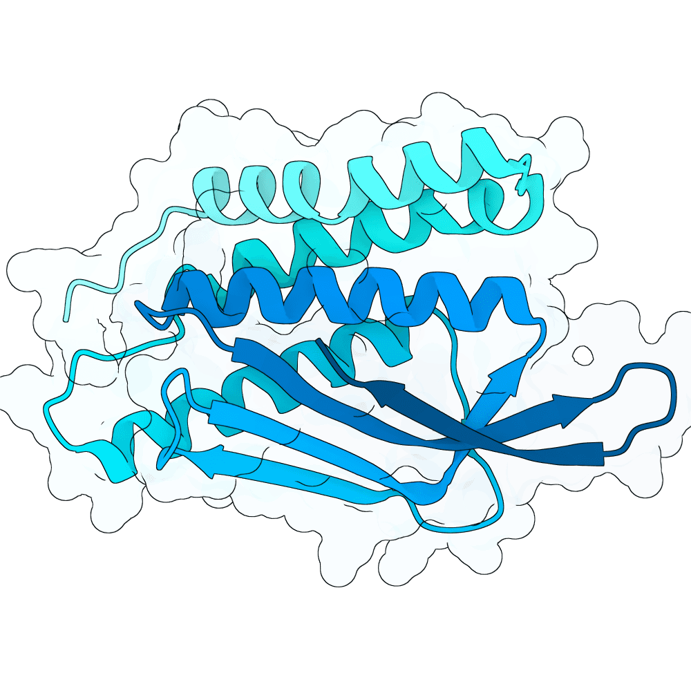 bright-goat-ice